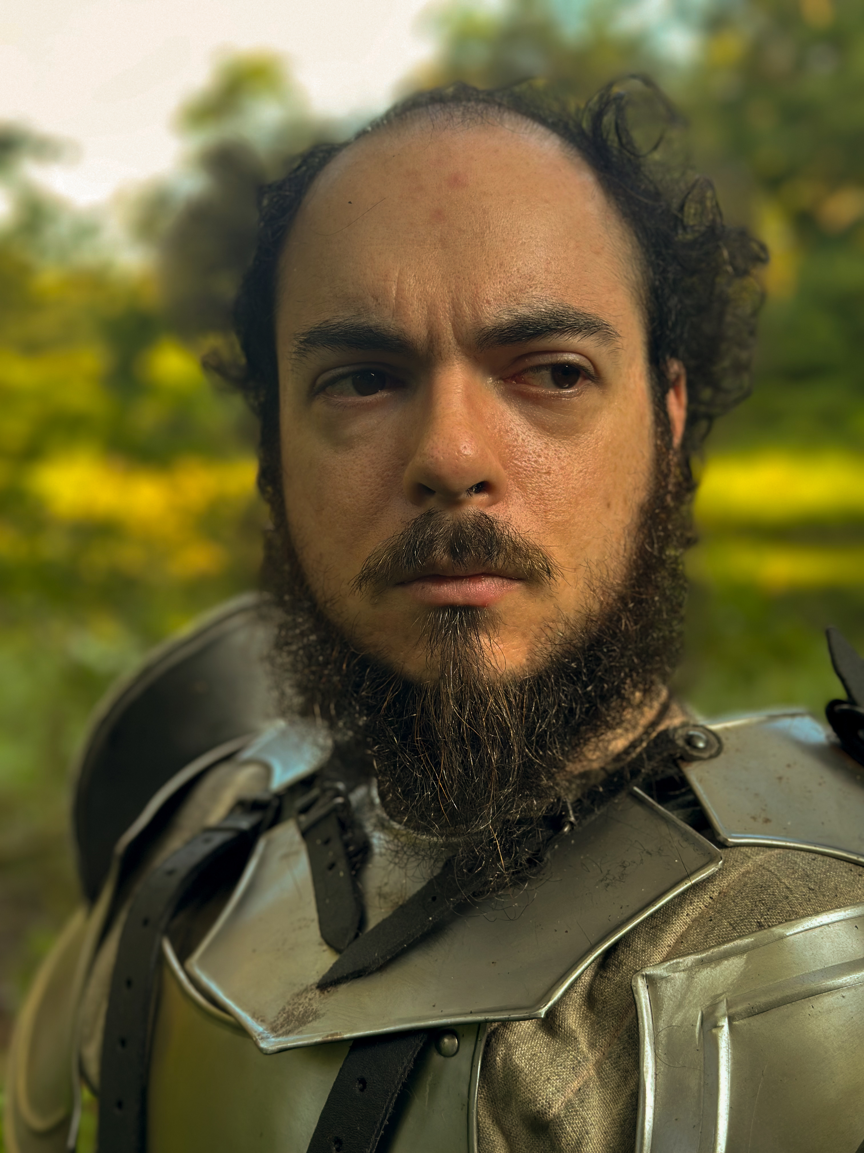 A close-up of the paladin looking slightly away from the camera